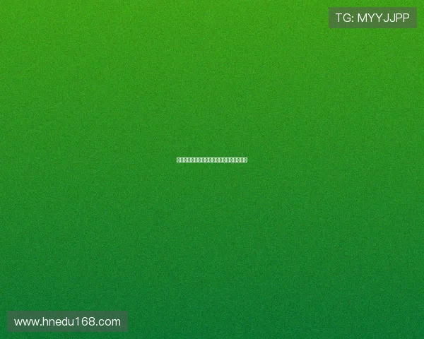 德甲决赛轮关键对决各队争冠保级生死战上演